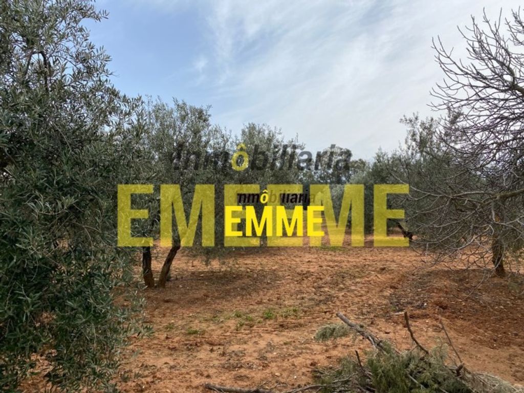 Maison de luxe à vendre à Ronda, 400 000 €, Photo 3
