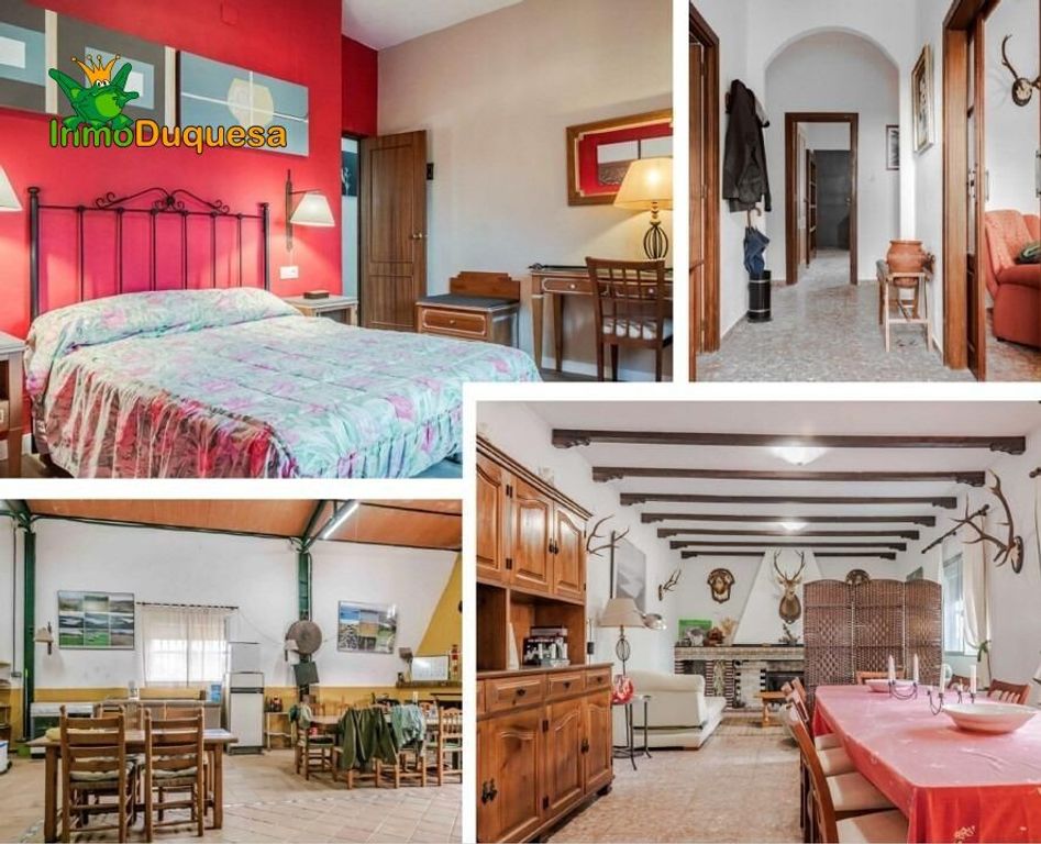 Maison de luxe à vendre à Paymogo, 950 000 €, Photo 3