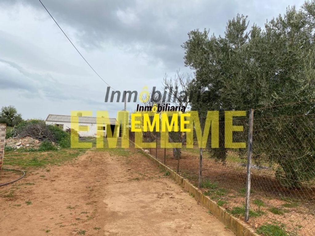 Maison de luxe à vendre à Ronda, 400 000 €, Photo 4