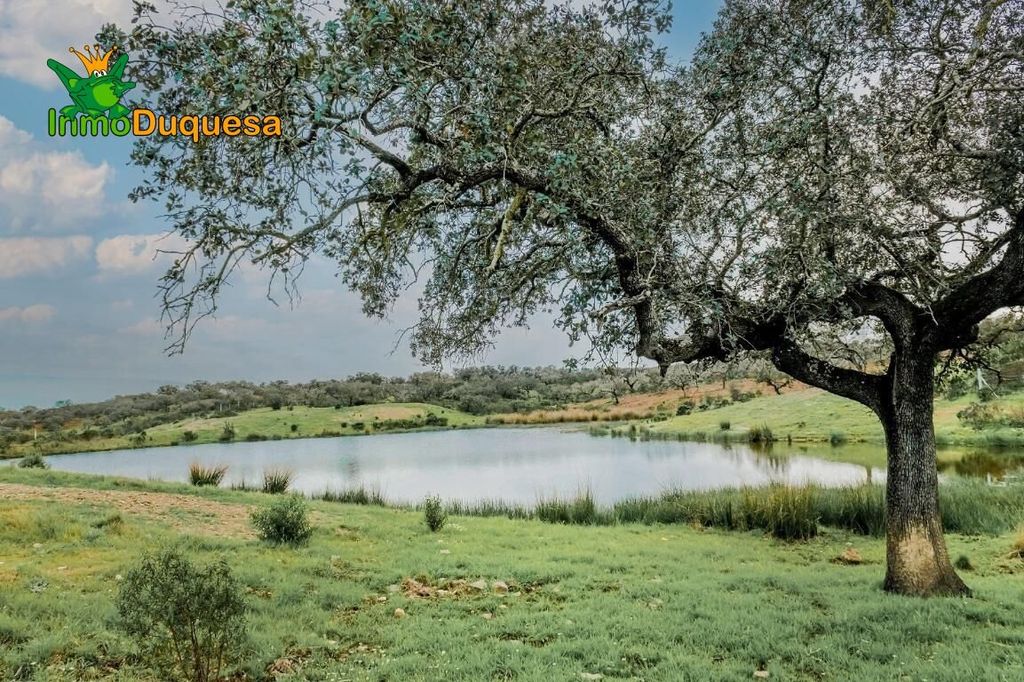 Maison de luxe à vendre à Paymogo, 950 000 €, Photo 4