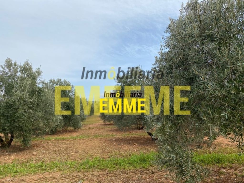 Maison de luxe à vendre à Ronda, 400 000 €, Photo 5