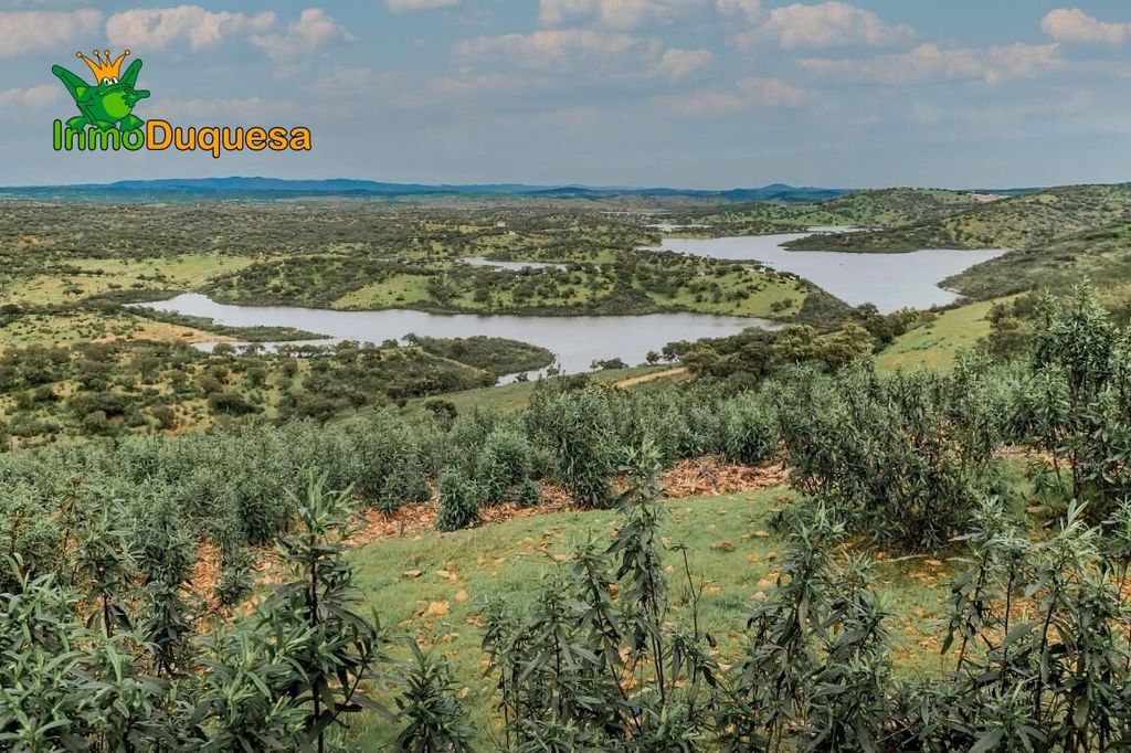 Maison de luxe à vendre à Paymogo, 950 000 €, Photo 6