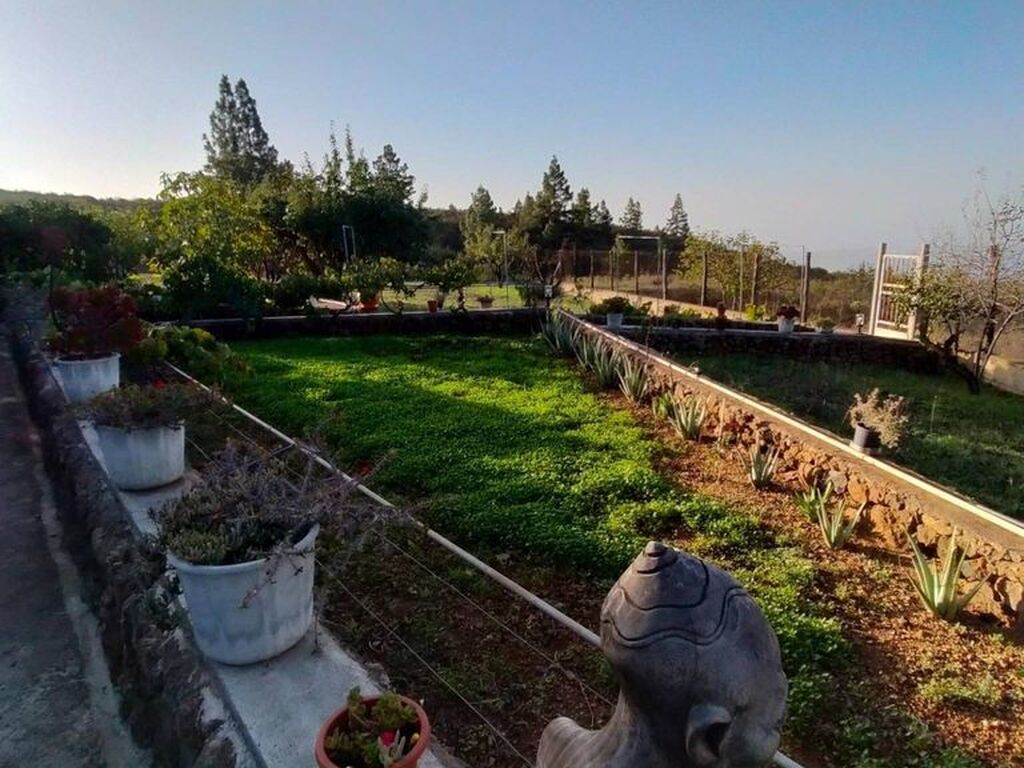 Maison de luxe à vendre à Arona, 650 000 €, Photo 5