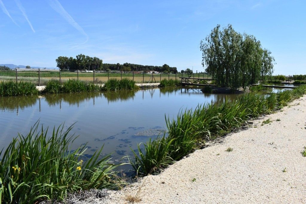 Luxury House for sale in Amposta, 426 000 €, Photo 4