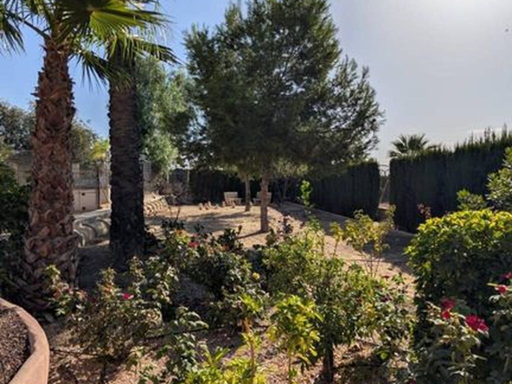 Maison de luxe à vendre à Elche, 530 000 €, Photo 5