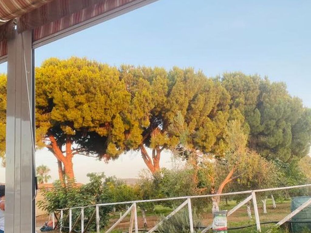 Maison de luxe à vendre à Arcos de La Frontera, 550 000 €, Photo 6