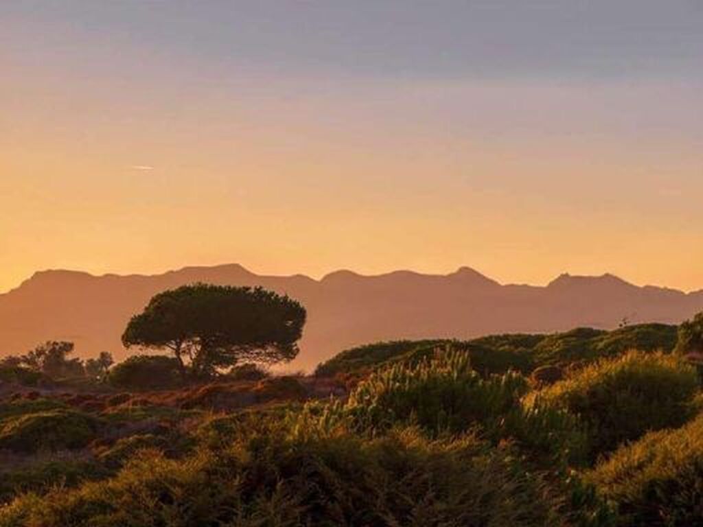 Luxury House for sale in Marbella, 3 500 000 €, Photo 7
