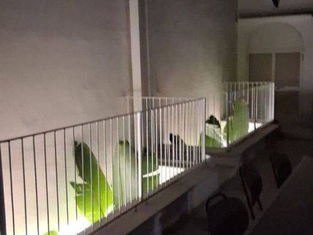 Luxury House for sale in Bari, 1 200 000 €, Photo 3