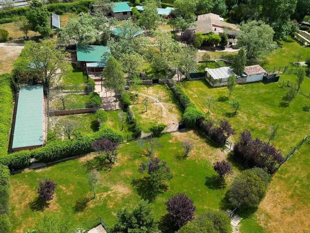 Luxury House for sale in Miraflores de La Sierra, 2 850 000 €, Photo 2