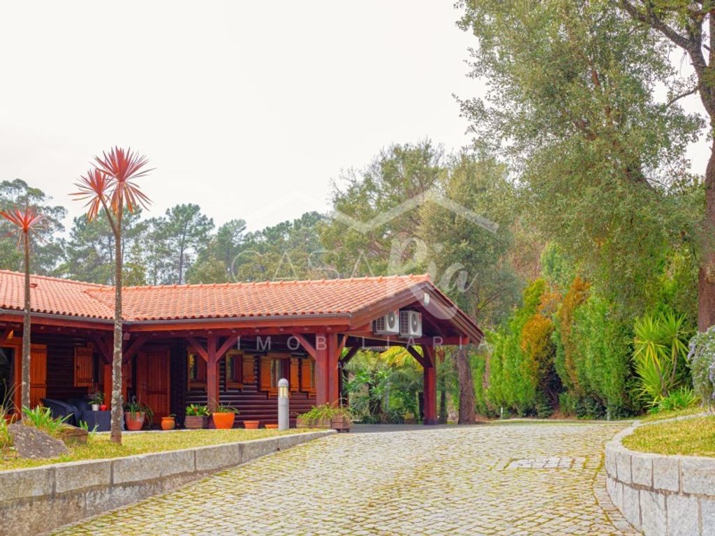 Maison de luxe à vendre à Oliveira de Azemeis, 5 500 000 €, Photo 4
