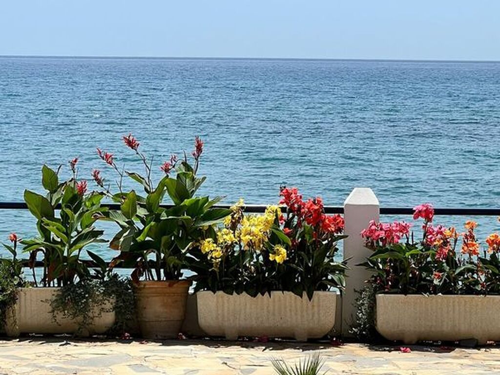 Maison de luxe à vendre à Riviera Del Sol, 549 000 €, Photo 3