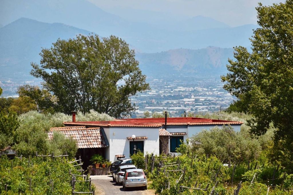 Maison de luxe à vendre à Boscotrecase, 3 000 000 €, Photo 6