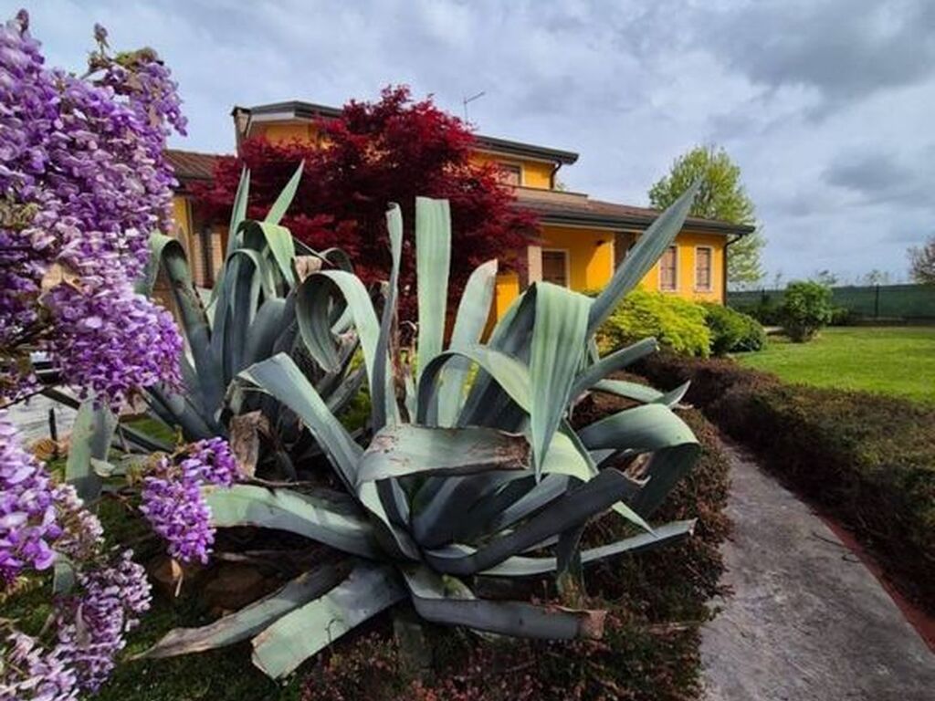 Luxury House for sale in Brugine, 480 000 €, Photo 5