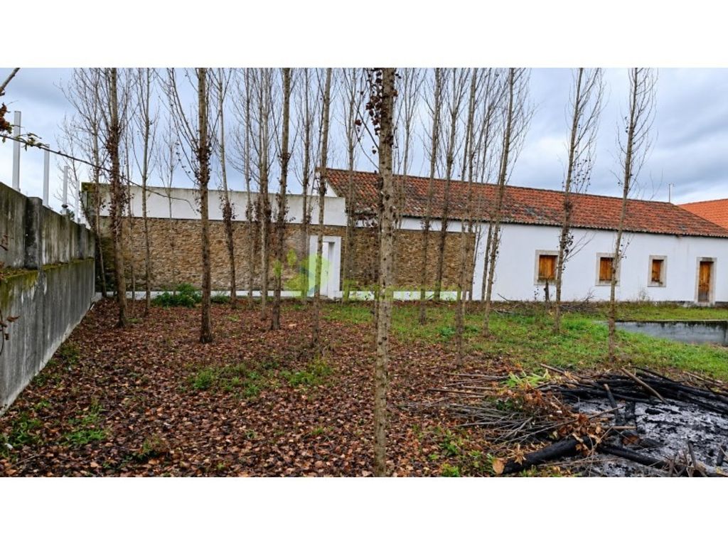Luxury House for sale in Constância, 490 000 €, Photo 6