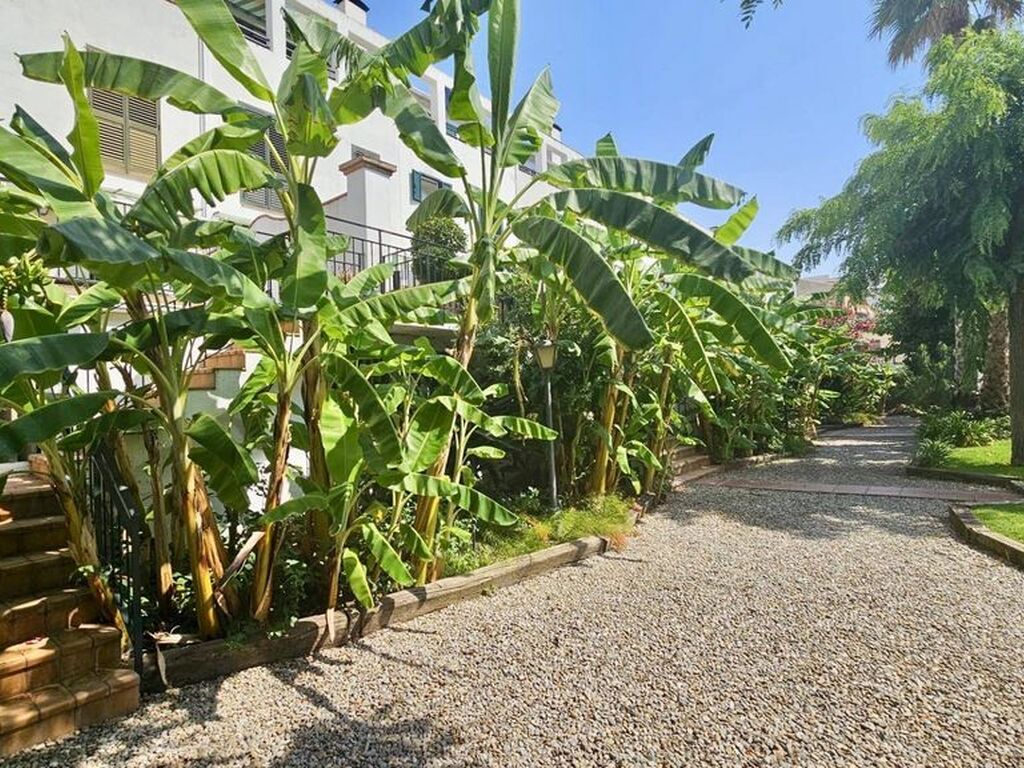 Maison de luxe à vendre à Calella, 520 000 €, Photo 4