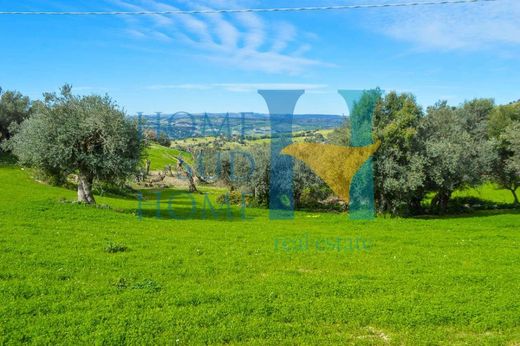 Maison de luxe à vendre à Noto, 460 000 €, Photo 5