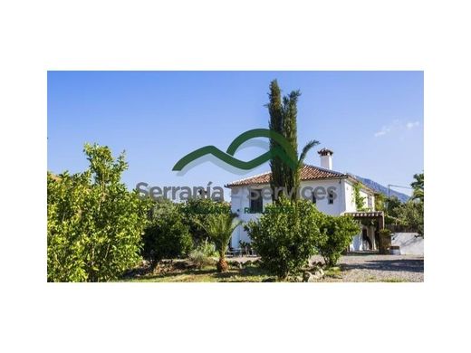 Maison de luxe à vendre à Grazalema, 595 000 €, Photo 1