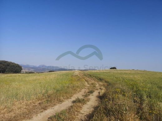 Luxury House for sale in Ronda, 720 000 €, Photo 7