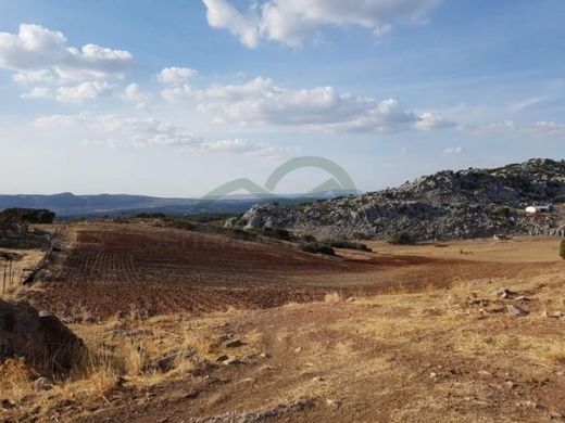 Luxury House for sale in Ronda, 720 000 €, Photo 3