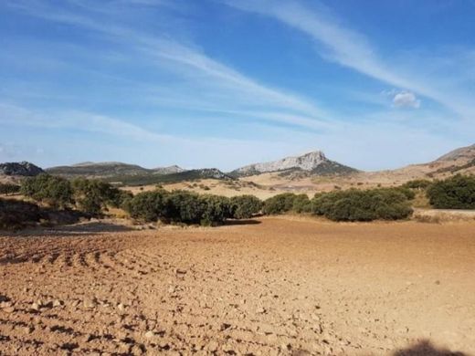 Luxury House for sale in Ronda, 720 000 €, Photo 6