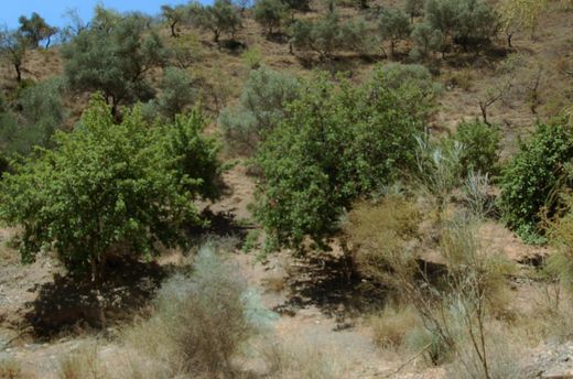 Luxury House for sale in Cártama, 600 000 €, Photo 3