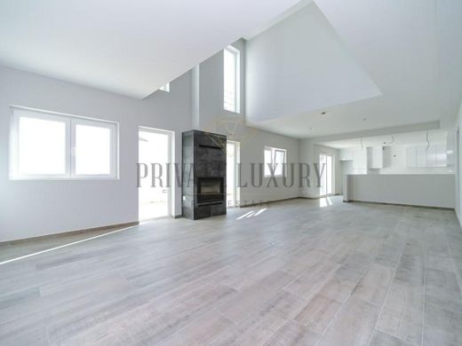 Maison de luxe à vendre à Golegã, 870 000 €, Photo 1