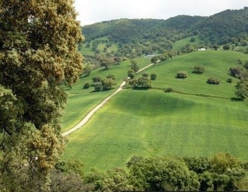 Maison de luxe à vendre à Cadiz, 2 000 000 €, Photo 2