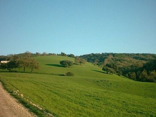 Maison de luxe à vendre à Cadiz, 2 000 000 €, Photo 3