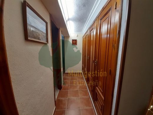 Maison de luxe à vendre à Cáceres, 650 000 €, Photo 5