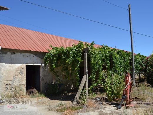 Maison de luxe à vendre à Covilhã, 1 150 000 €, Photo 3