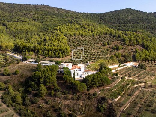 Maison de luxe à vendre à La Selva Del Camp, 2 550 000 €, Photo 4