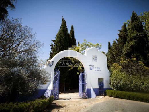 Maison de luxe à vendre à Las Salinas, 750 000 €, Photo 5