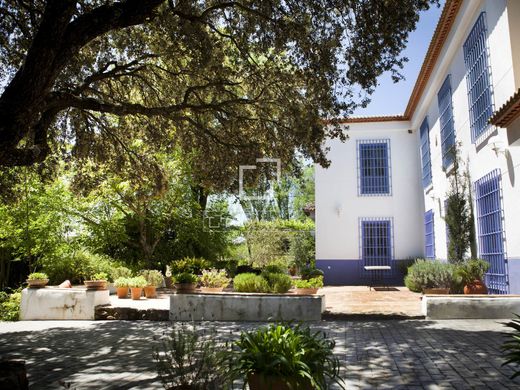 Maison de luxe à vendre à Las Salinas, 750 000 €, Photo 7