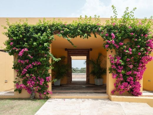 Luxury House for sale in San Roque, 6 900 000 €, Photo 3