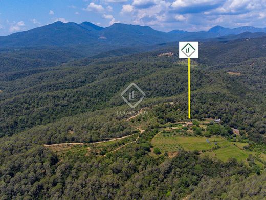 Luxury House for sale in Lladó, 900 000 €, Photo 5