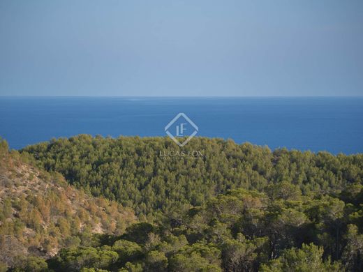 Maison de luxe à vendre à Roca Llisa, 6 300 000 €, Photo 7