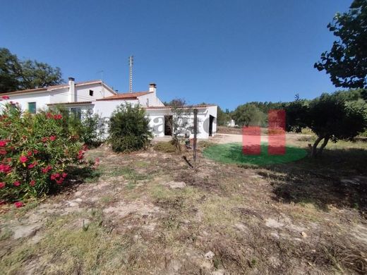 Luxury House for sale in Rio Maior, 430 000 €, Photo 2