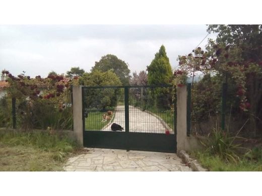 Maison de luxe à vendre à Ponte de Lima, 950 000 €, Photo 4