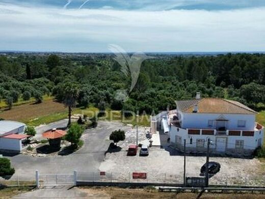 Maison de luxe à vendre à Alcanena, 590 000 €, Photo 3