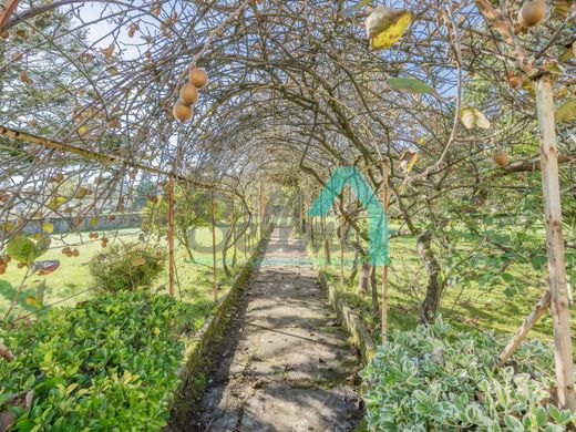 Maison de luxe à vendre à Pravia, 1 240 000 €, Photo 3