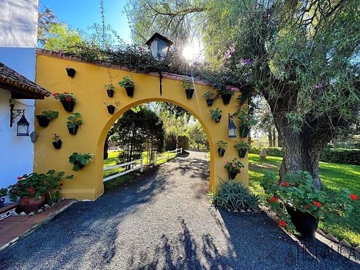 Maison de luxe à vendre à Alcolea Del Río, 550 000 €, Photo 6