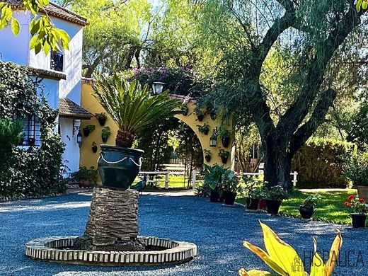 Maison de luxe à vendre à Alcolea Del Río, 550 000 €, Photo 5