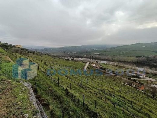 Maison de luxe à vendre à Peso Da Régua, 665 000 €, Photo 5