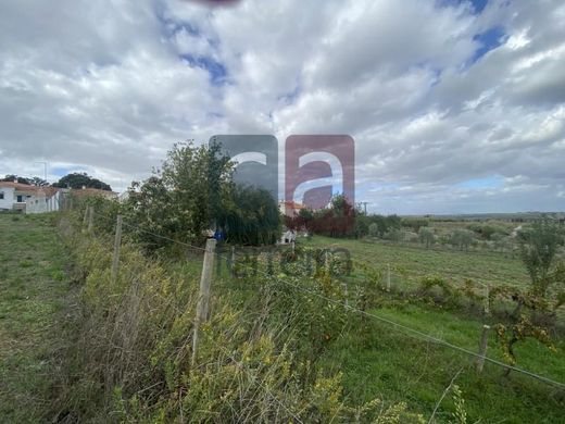 Maison de luxe à vendre à Santarém, 550 000 €, Photo 4