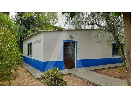 Maison de luxe à vendre à São Brás de Alportel, 680 000 €, Photo 6