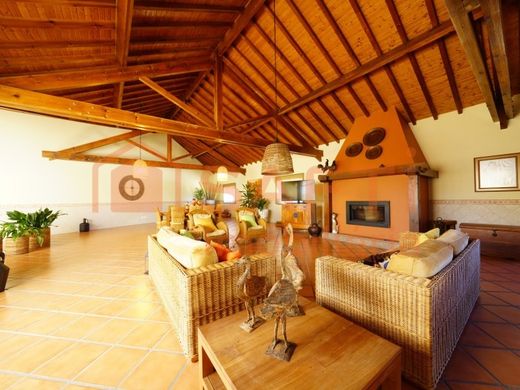 Maison de luxe à vendre à Vila Nova de Ourém, 490 000 €, Photo 3