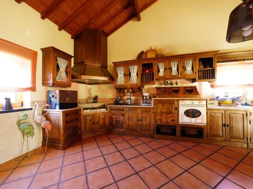 Maison de luxe à vendre à Vila Nova de Ourém, 490 000 €, Photo 4