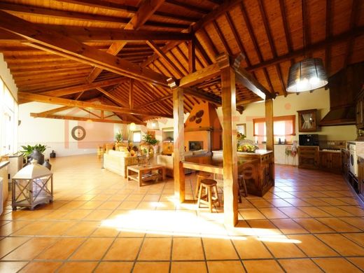 Maison de luxe à vendre à Vila Nova de Ourém, 490 000 €, Photo 5