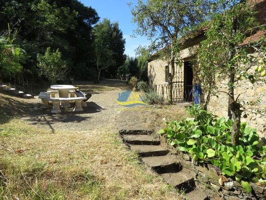 Maison de luxe à vendre à Miranda Do Corvo, 450 000 €, Photo 7