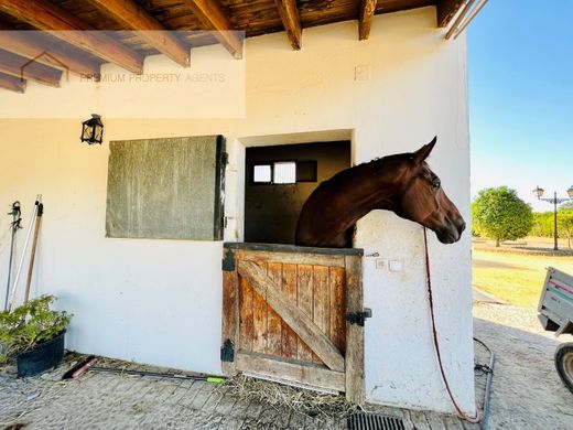Maison de luxe à vendre à Dos Hermanas, 3 500 000 €, Photo 2
